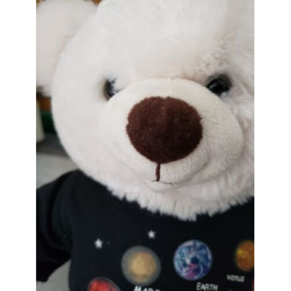 Build a Bear plush With solar System Clothing - Picture 5 of 5